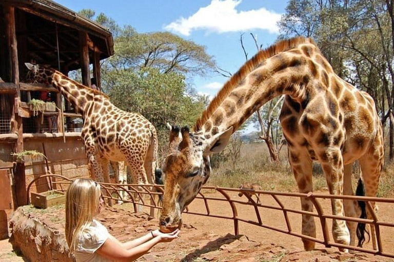 Nairobi: Maasai Mara, Amboseli, or Lake Naivasha Safari Tour