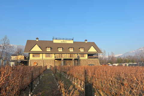 Aylan Family Wines | The Sunset Tour