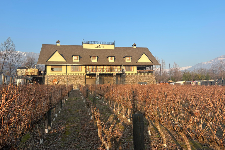 Aylan Family Wines | The Sunset Tour