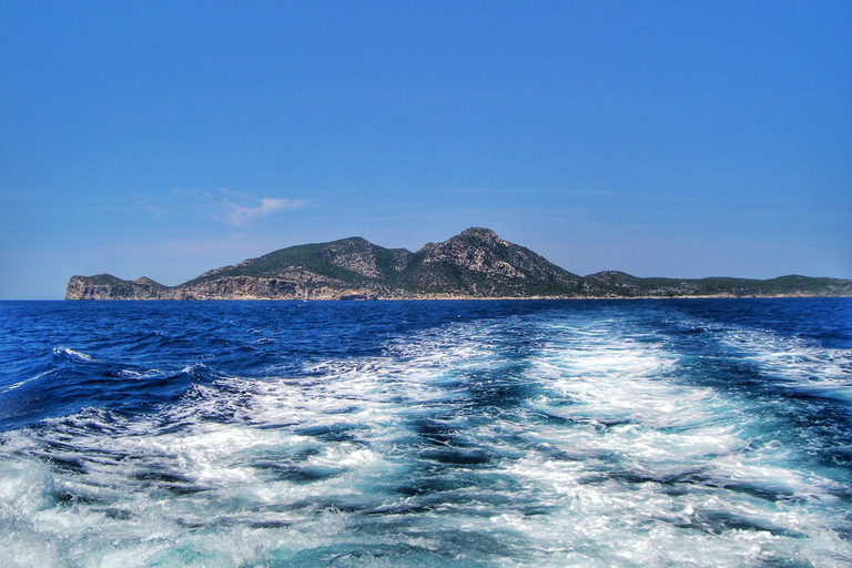 Santa Ponta/Peguera: Dragonera Island Cruise with Swim Stop Tour with Santa Ponsa Meeting Point