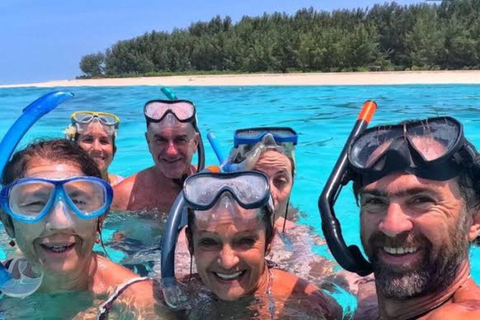 Zanzibar: Privat delfinsafari och snorkling i MnembaDet här alternativet inkluderar upphämtning och avlämning på hotellet