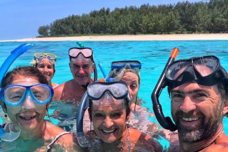 Zanzibar: Privat delfinsafari och snorkling i MnembaDet här alternativet inkluderar upphämtning och avlämning på hotellet
