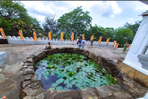 From Dambulla: Cave Temple & Kaudulla National Park Safari