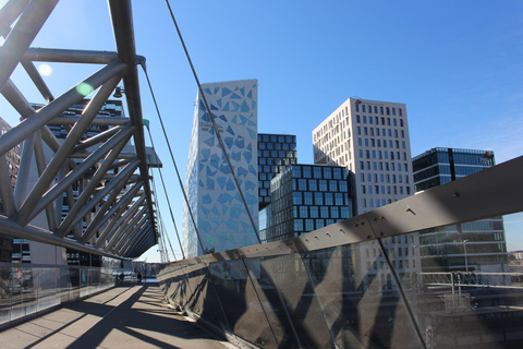 Oslo: Private Architecture Tour with a Local Expert