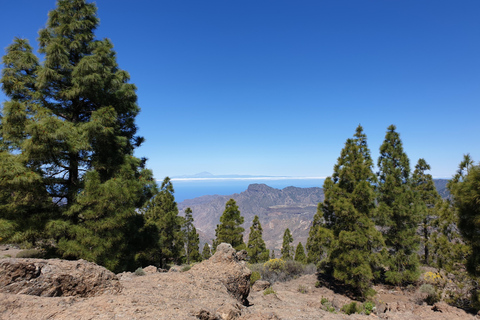 Gran Canaria: Roque Nublo Excursion Gran Canaria: a trip to Roque Nublo