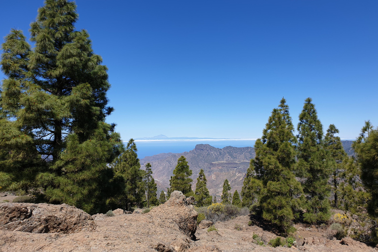 Gran Canaria: Roque Nublo Excursion Gran Canaria: a trip to Roque Nublo