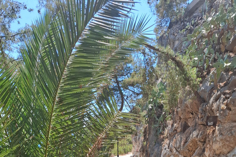 Śmiejące się Nafplio w porcie