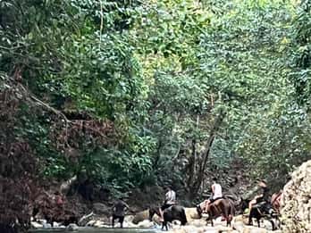 El Limon: Horse Ride Waterfall Waterfall Jump