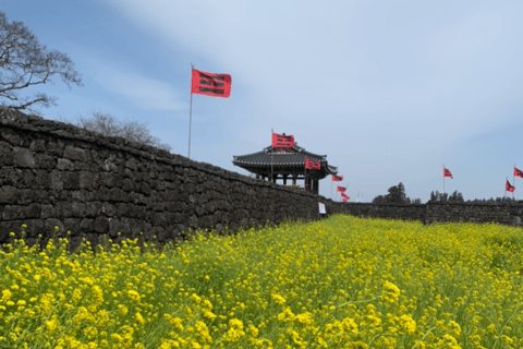 Jeju Island : UNESCO Heritage Day Tour for Cruise Passengers