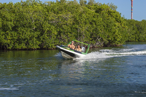 Cancun: Jungle Tour Snorkel and Lagoon Boat Ride