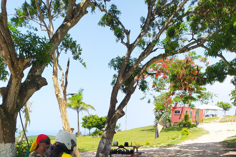 tour de la ciudad de montego bay