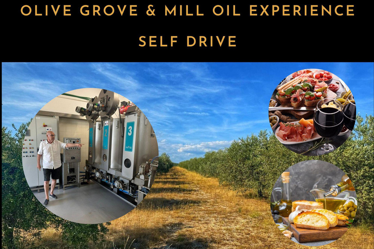 Olive Park Self Drive - Öl-, Wein- und LebensmittelverkostungOlivenmühlentour, Öl, Wein &amp; Essen erleben - Selbstfahrer