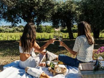 Ischia: Vineyard Tour & Wine Tasting Experience w/ Transfers