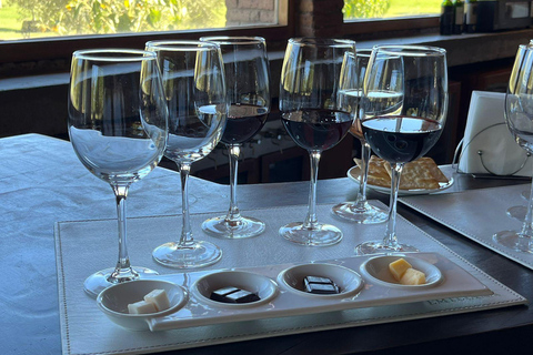 Casablanca: Wine tour with premium wine tasting and transportation