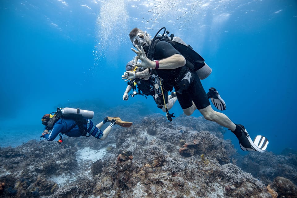 Cozumel: 2 tanks certified scuba diving | GetYourGuide