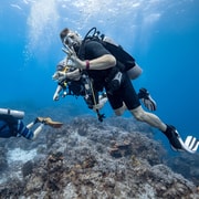 Cozumel: 2 tanks certified scuba diving | GetYourGuide