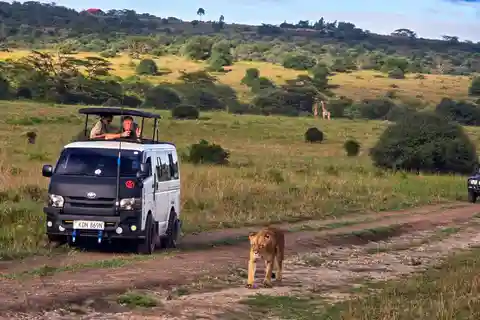 5 Hours Nairobi National Park Game Drive Tour 4x4 Vehicle