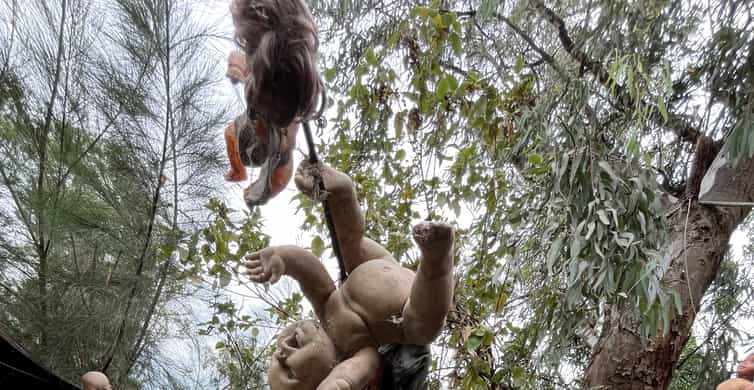 Xochimilco : Island of the dolls, tequila and mezcal CDMX photo 19