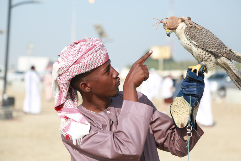 Desert Safari Qatar Camel Sandbording sunrise/sunset tour