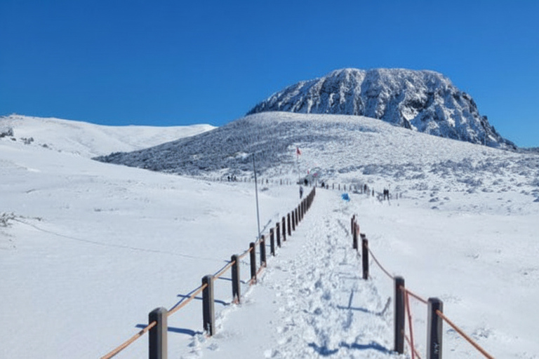 Jeju: HALLASAN National Park Guided Snow Climb (5hr_w/Gear)