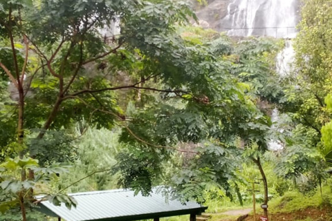 Kandy: Pettigala Hike, Waterfalls &amp; Massage by Tuk Tuk