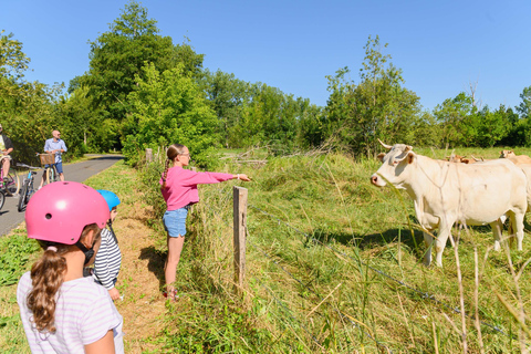 Marais Poitevin: jazda na rowerze w zielonej Wenecji
