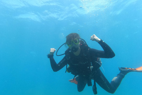 Tenerife south: Scuba Dive for beginners in Adeje