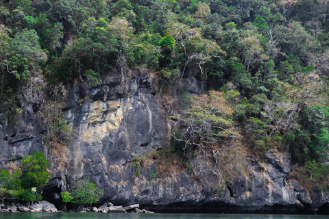 Langkawi Koninklijke Mangrove Tour met snorkelarrangementKleine boot (8 personen)