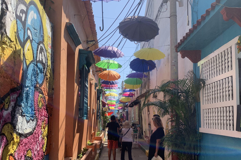 Cartagena: Private Street Art Tour with a Local Muralist