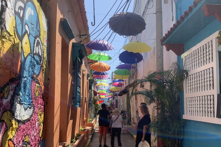 Cartagena: Private Street Art Tour with a Local Muralist