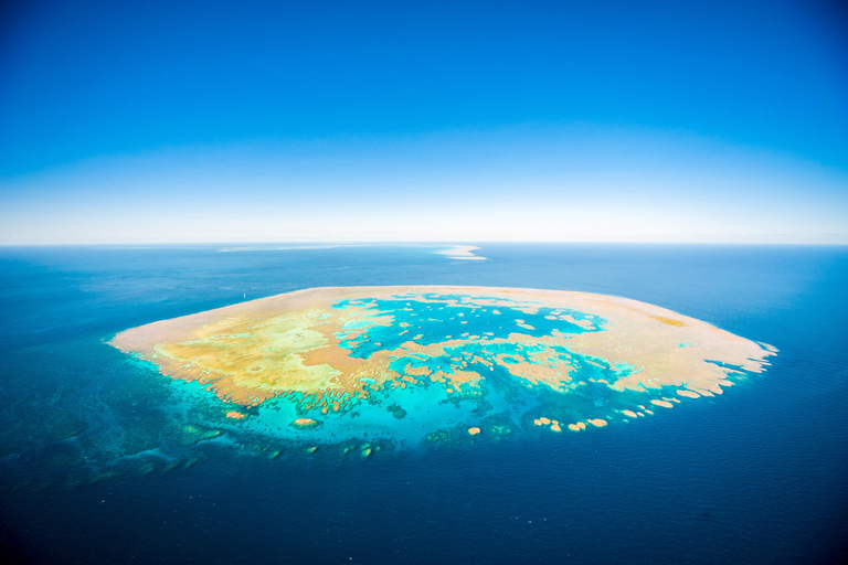 Airlie Beach: Great Barrier Reef Snorkel from Shute Harbour