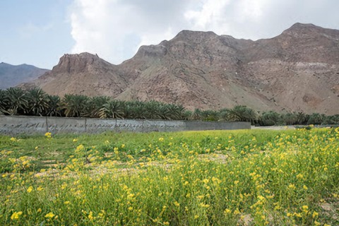 Wadi Dayqah/Wadi Al Arbaeen/Wadi Mayh (excursión de un día) 8 horas