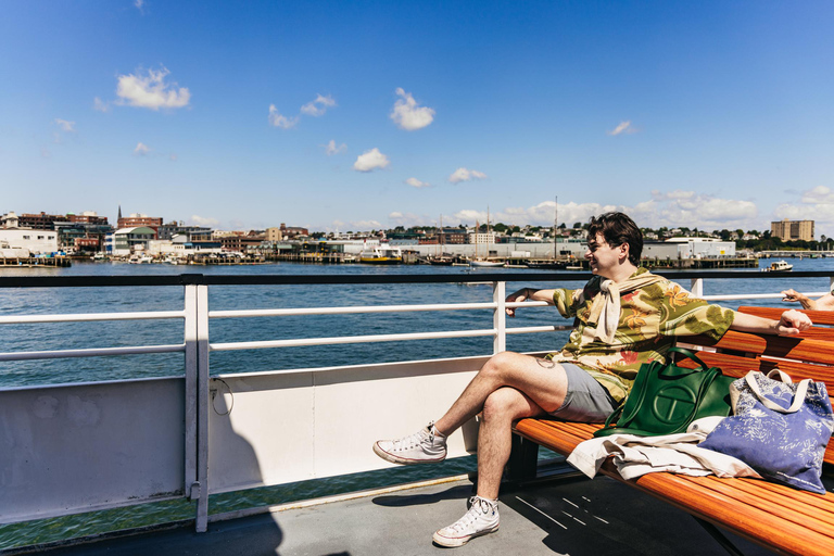 Portland: panoramische cruise langs de vuurtoren van Maine