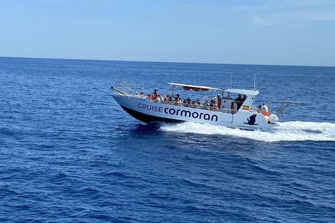 Mallorca: Bådtur til grotter, klipper og bugter