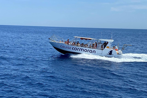 Mallorca: Caves, Cliffs, and Coves Boat Trip Tour with Santa Ponsa Pier Meeting Point 1:45pm