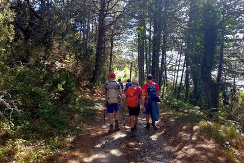 Hiking Vrmac peninsula with panoramic view on Kotor bay