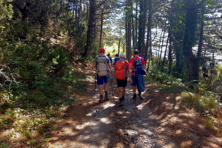 Hiking Vrmac peninsula with panoramic view on Kotor bay