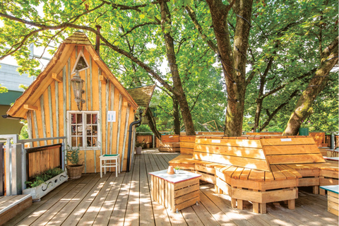 Munich: Hangover Recovery Tour With Local Guide & Transport