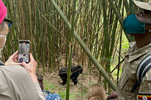 Passeio de 3 dias ao Gorila Mgahinga Gorilla NP Uganda via Ruanda