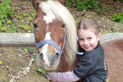 Hirschburg: Day at the stables