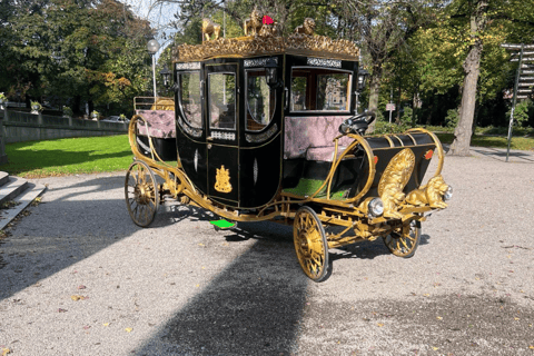 Tour guidato del Museo Vasa con biglietto d&#039;ingressoMuseo Vasa e giro in carrozza Tour guidato con biglietto d&#039;ingresso