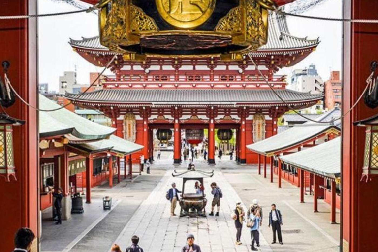 Tokyo City Private Day Tour By English Speaking Driver
