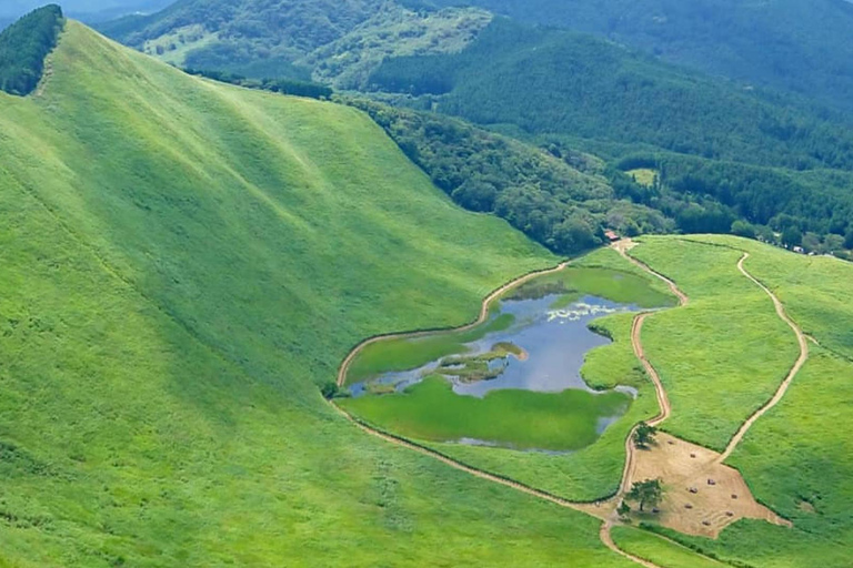 Osaka: Nara’s Hidden-gem Temples, Art Forest Day Tour