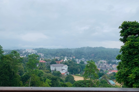 Tagestour in der atemberaubenden Stadt Kandy von Colombo aus