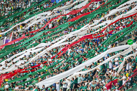 Fluminense vs Palmeiras Maracanã CONMEBOL Club Ticket