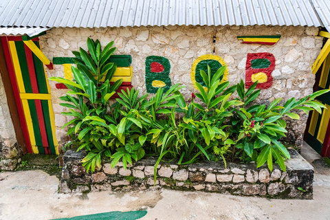 Bob Marley Mausoleum & Dunn’s River Falls Private Tour