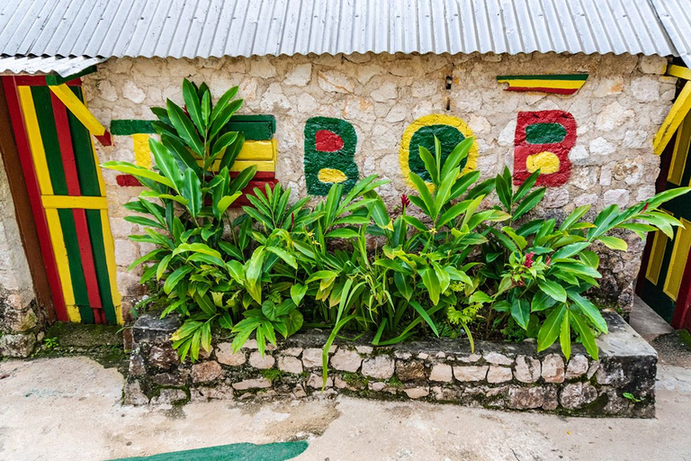 Bob Marley Mausoleum & Dunn’s River Falls Private Tour