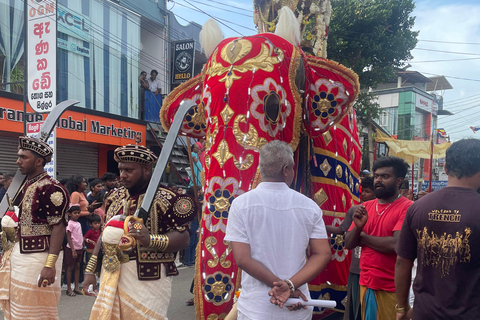 Tour de la ciudad en tuk tuk por Colombo (entradas y comida incluidas)Tour de la ciudad de Colombo en tuk con guía privado (todo incluido)