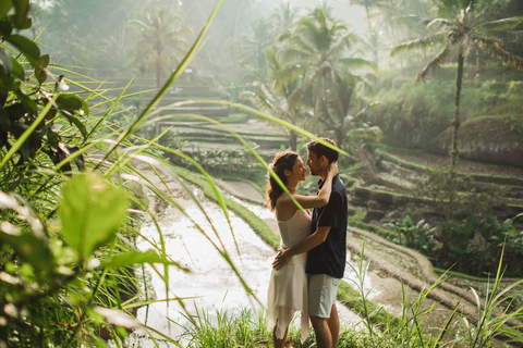 Les merveilles des chutes d'eau de Bali : Explorer les chefs-d'œuvre de la nature