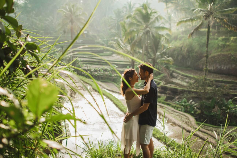 Les merveilles des chutes d'eau de Bali : Explorer les chefs-d'œuvre de la nature